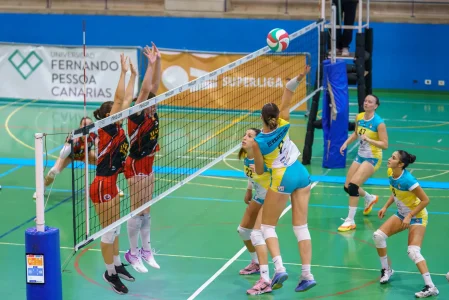 Guía Torrejon (20)